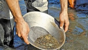 All About Gold Flushing