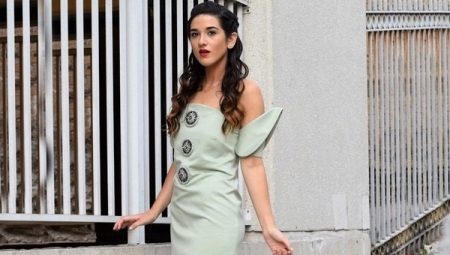 Dress of a direct silhouette - for fans of classics and minimalism