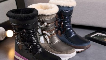 Female winter dutiks