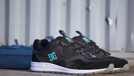 Sneakers DC Shoes