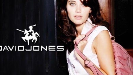 Bags David Jones