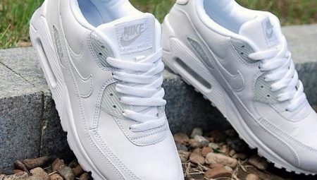 Properly and accurately we erase sneakers