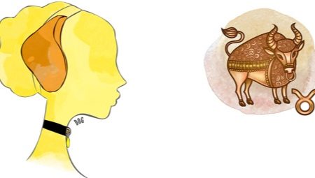 The character of the Taurus born in the year of the Dog