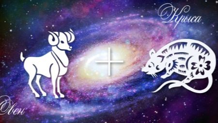 Characteristics of Aries Rat Men