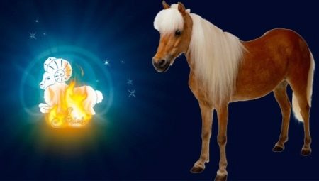 Characteristics of Aries Horse men