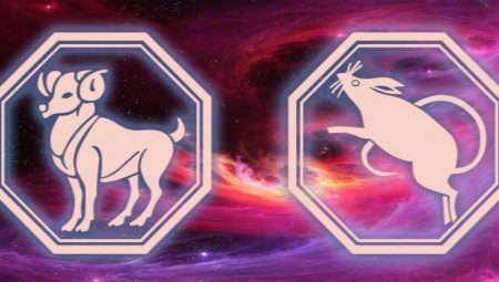 Characteristics of Aries Rat