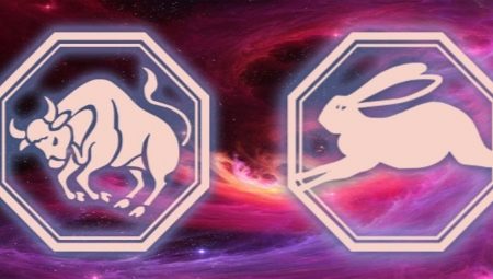 Characteristics of women Taurus Rabbit