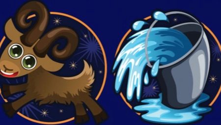 Capricorn and Aquarius: is a harmonious union possible?