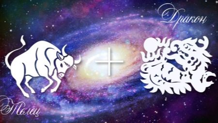 Dragon-Taurus Male: Character and Relationship