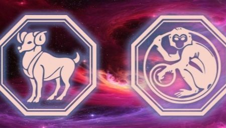 Aries-Monkey: characteristics of men and their compatibility in love