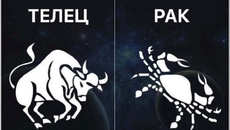 Cancer and Taurus: compatibility of the zodiac signs in relationships and business