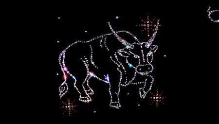 The union of Taurus with Taurus: the secrets of harmonious relations