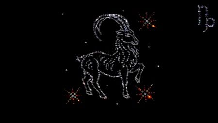 Characteristics and compatibility of the male Capricorn born in the year of the Monkey