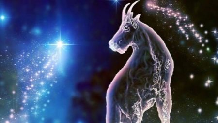 Característiques i compatibilitat de la dona Capricorn nascuda l'any de la rata