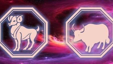 Characteristics of the Capricorn woman born in the year of the Bull