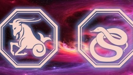  Característiques d’un mascle capricorn nascut l’any de la serp