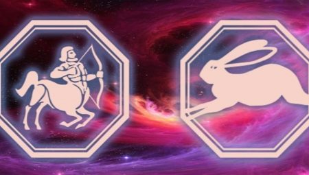 Characteristics of the male Sagittarius born in the year of the Rabbit
