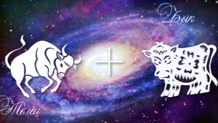 Characteristics of men Taurus Bull