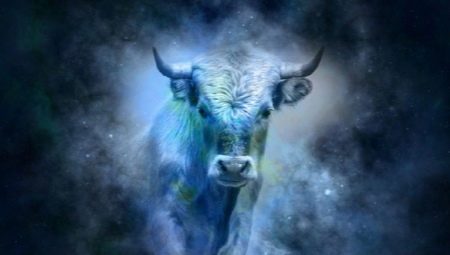 Conejo Tauro macho: perfil de personalidad y compatibilidad