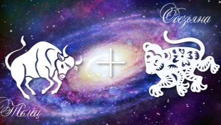 Male Taurus-Monkey: personality characteristics and compatibility