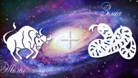 Taurus Snake Male: personality traits and compatibility