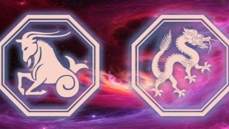 Capricorn woman born in the year of the Dragon: characteristics and compatibility