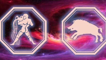 Aquarius woman born in the Year of the Pig