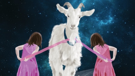 Twins born in the year of the Goat: characteristics and compatibility