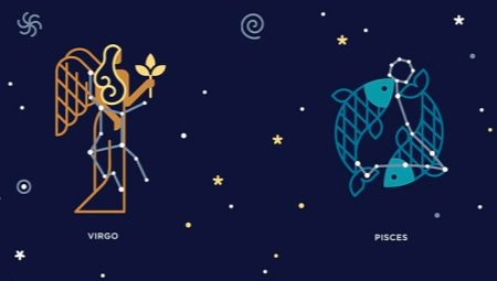 Panna a Ryby: osobná a obchodná kompatibilita