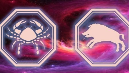 Characterization and behavior of a male Cancer born in a pig