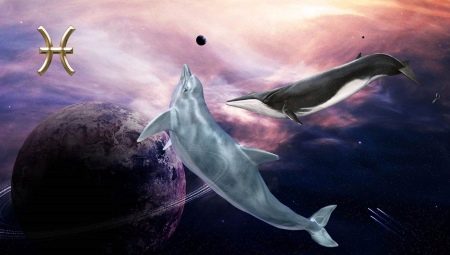 Vuohen vuonna syntyneiden kalojen ominaisuudet ja käyttäytyminen