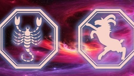 Characteristics and compatibility of a male Scorpio born in the year of the Goat