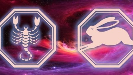 Characteristics and compatibility of a man Scorpio born in the year of the Rabbit