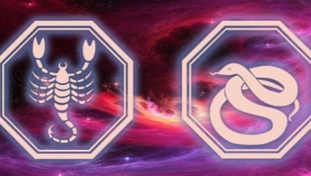 Caracteristicile și compatibilitatea unui Scorpion mascul născut în anul șarpelui