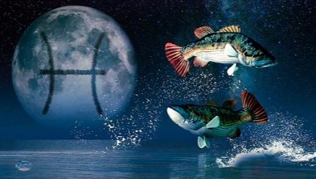 מאפיינים ותאימות של מזל דגים שנולדו בשנת החולדה