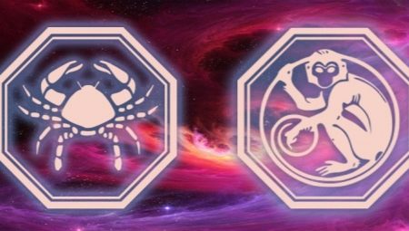 Characterization and compatibility in love of a man of Cancer born in the year of the Monkey