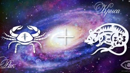 Characterization and compatibility of the Cancer woman born in the year of the Rat