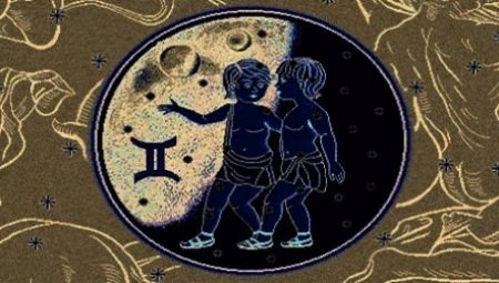 Characteristics of male twins born in the year of the dog