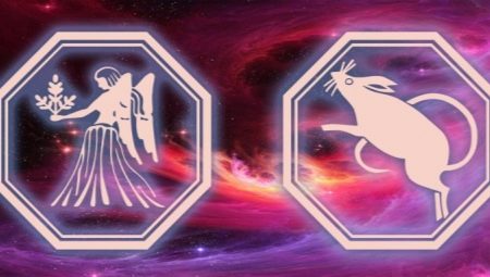  Characteristics of a Virgo man born in the year of the Rat