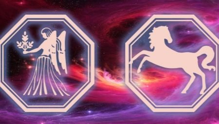 Characteristics of a Virgo man born in the year of the Horse