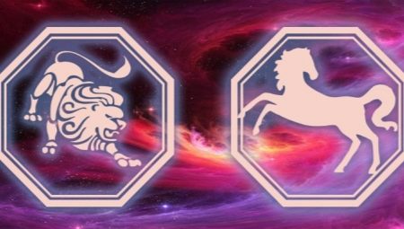 Characteristics of a male Leo born in the year of the Horse