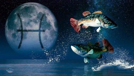 Characteristics of the man Pisces born in the year of the Rooster