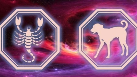 Characteristics of a Scorpio male born in the year of the Dog