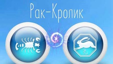 Characteristic of a woman of Cancer born in the year of the Rabbit