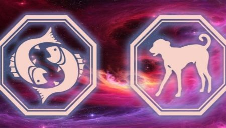 Characteristics of a woman of Pisces born in the year of the Dog