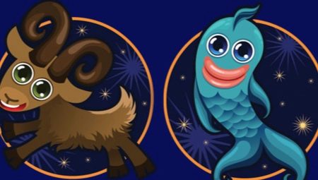 Capricorn and Pisces: compatibility in love and friendship