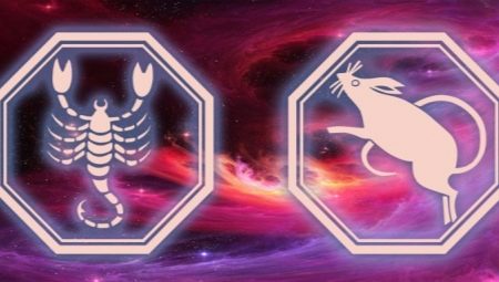 Escorpio macho nacido en el año de la Rata: características y compatibilidad.