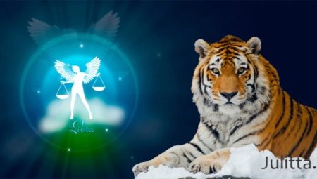 Male Libra Tiger: Feature and Compatibility