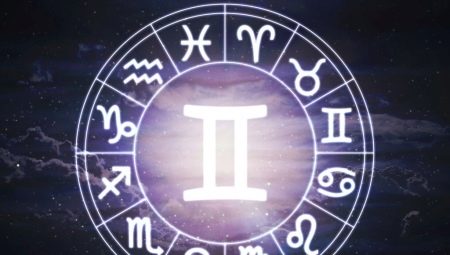 Bessons masculins nascuts a l'Any del Conill: característiques i compatibilitat