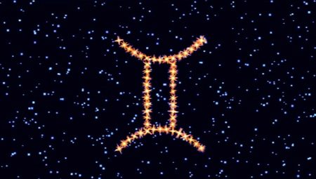 Muž Blíženci narození v roce Snake: vlastnosti a kompatibilita